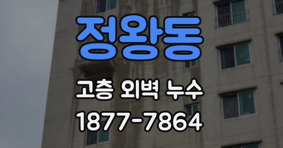 정왕동 고층 외벽 누수