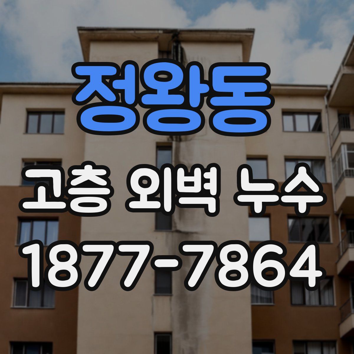정왕동 고층 외벽 누수