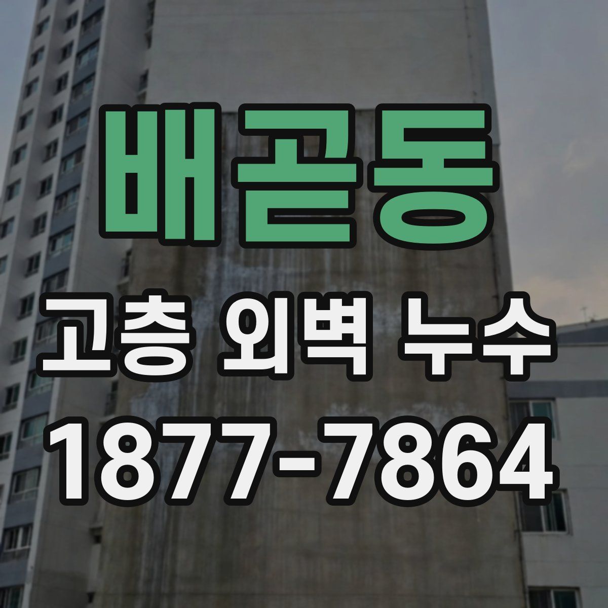 배곧동 고층 외벽 누수