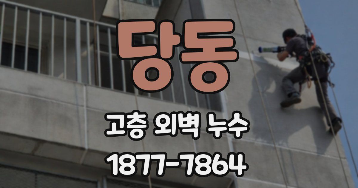 당동 고층 외벽 누수