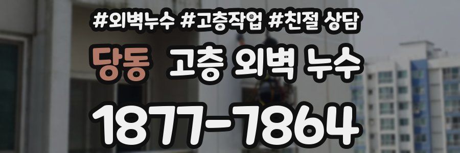 당동 고층 외벽 누수