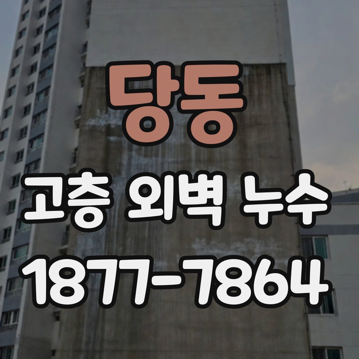 당동 고층 외벽 누수