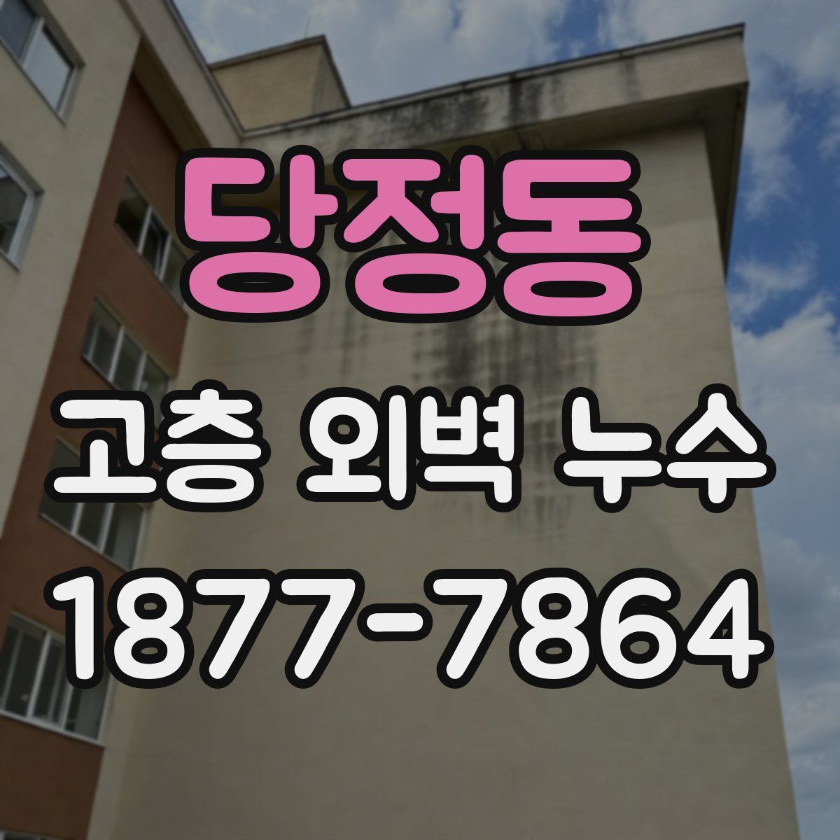 당정동 고층 외벽 누수