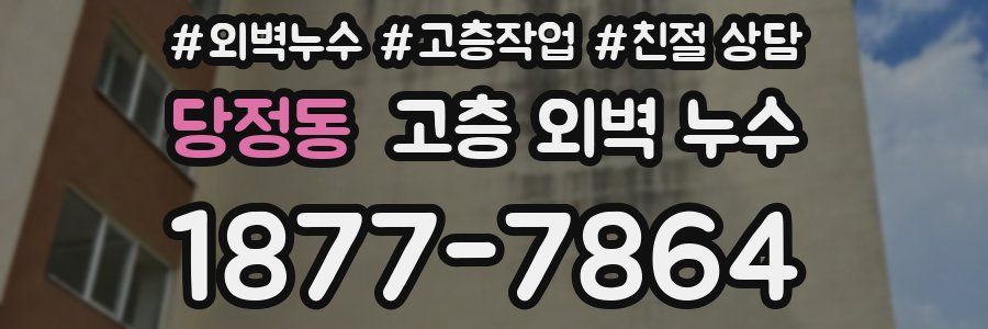 당정동 고층 외벽 누수