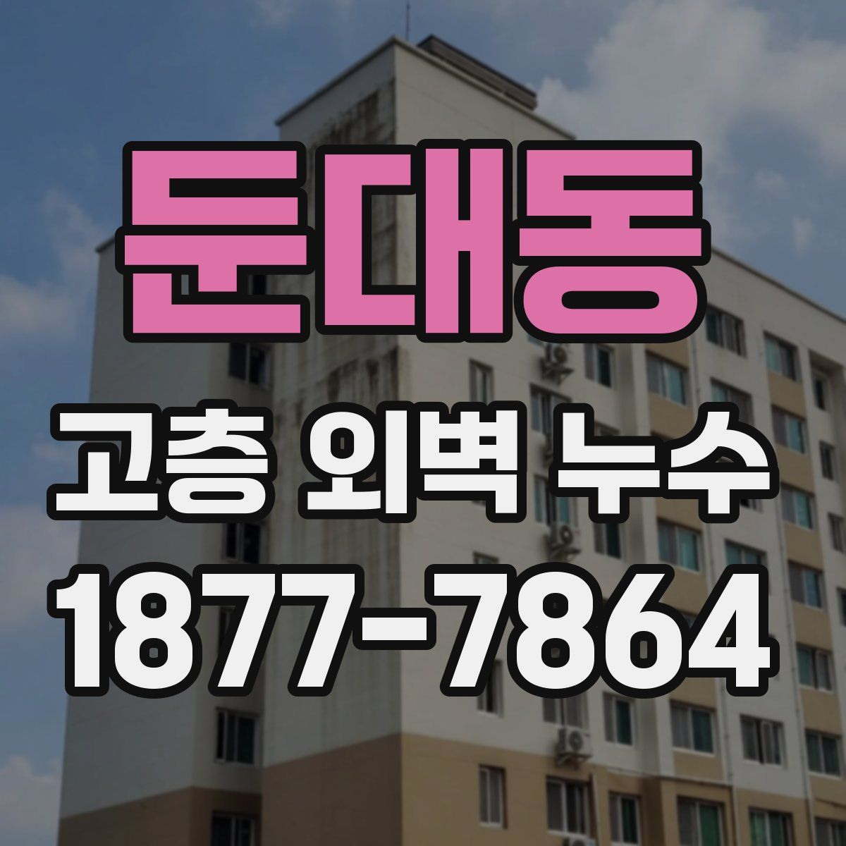 둔대동 고층 외벽 누수