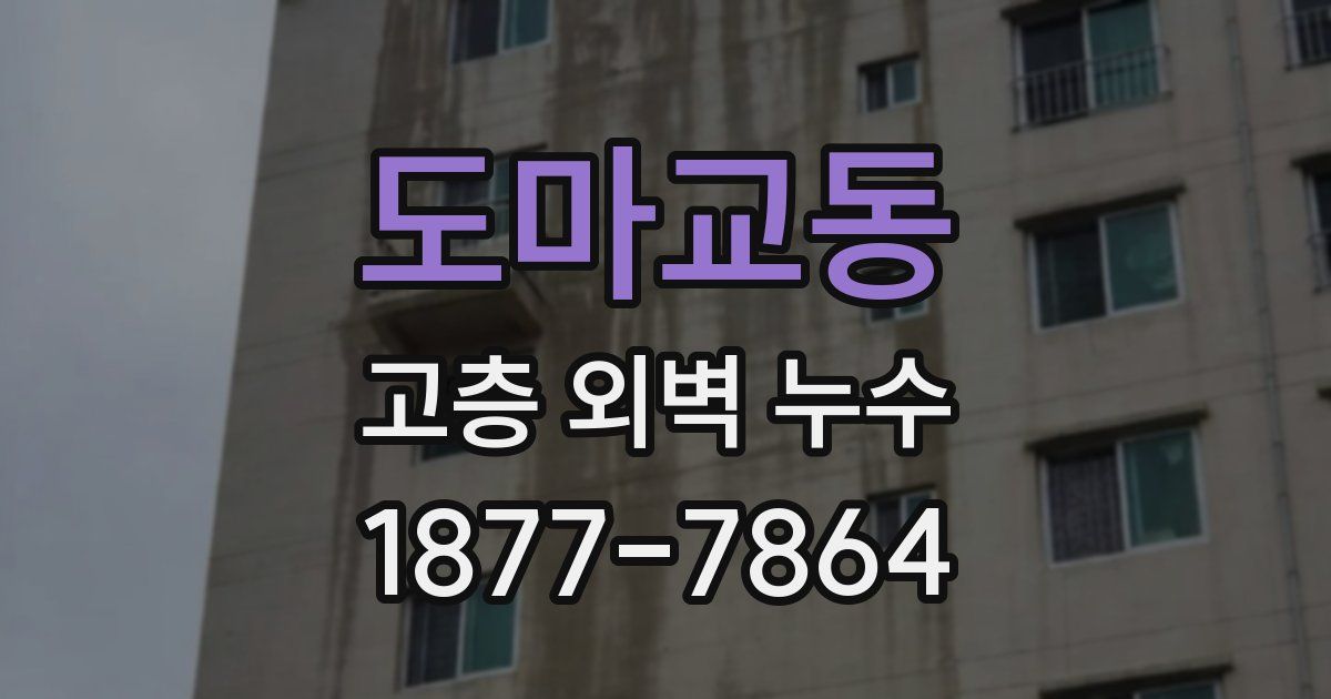 도마교동 고층 외벽 누수