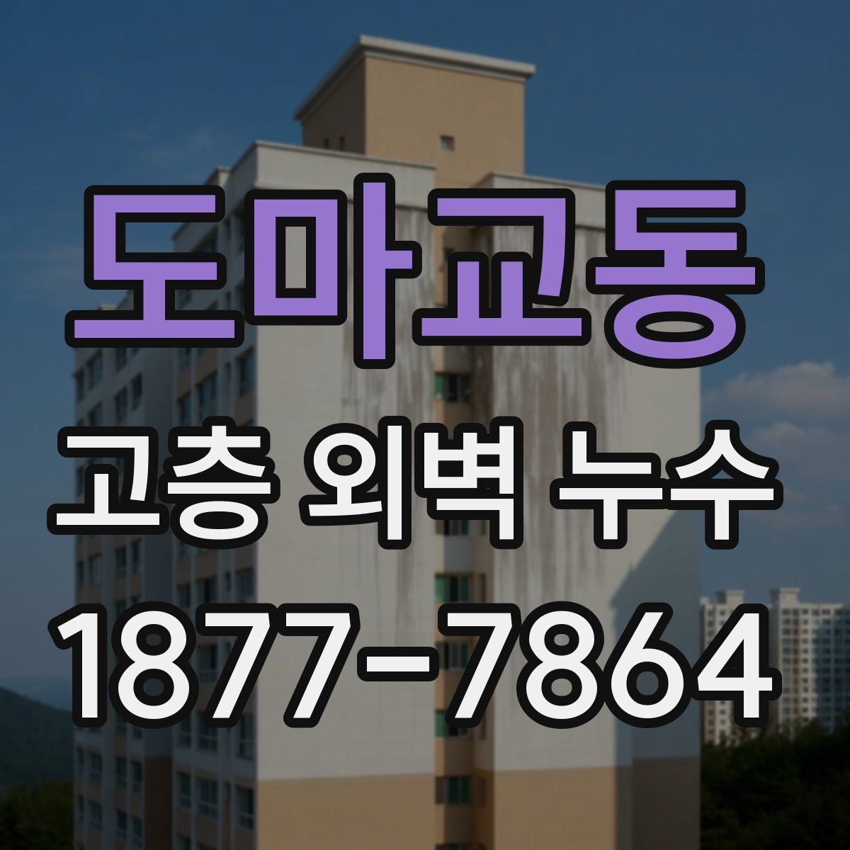 도마교동 고층 외벽 누수