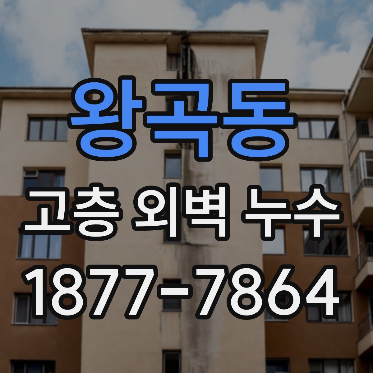 왕곡동 고층 외벽 누수