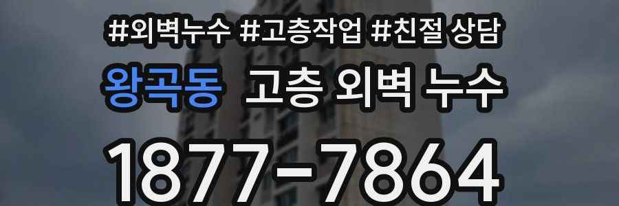 왕곡동 고층 외벽 누수