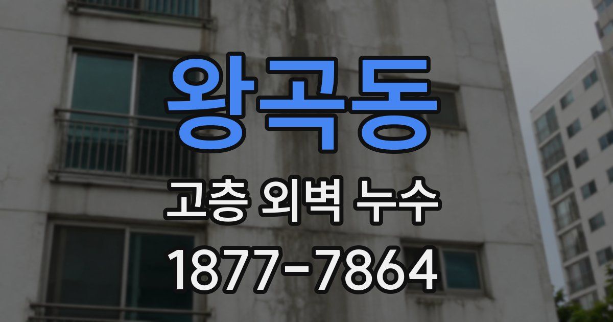 왕곡동 고층 외벽 누수