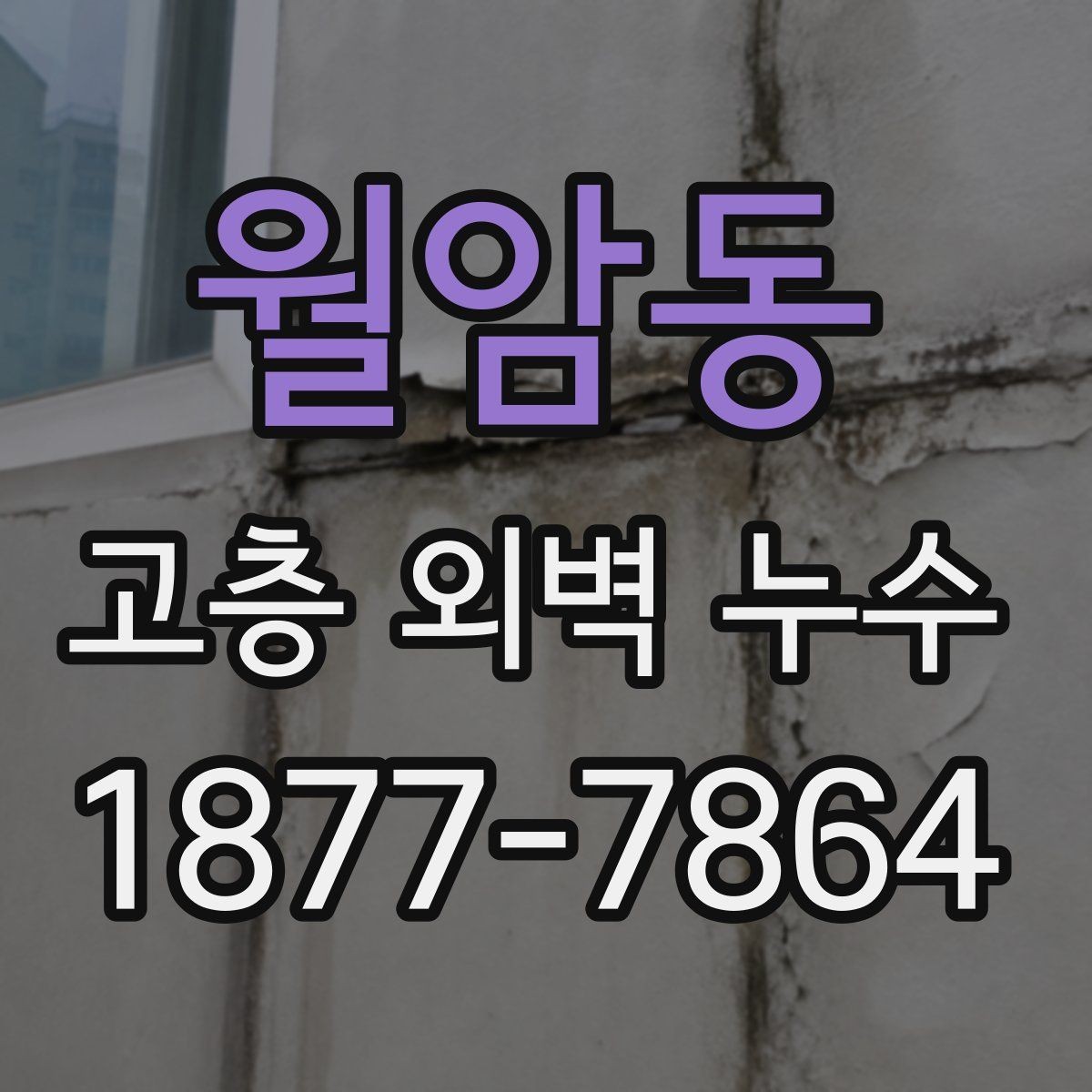 월암동 고층 외벽 누수 보수 전 현장 사진이 중요한 이유