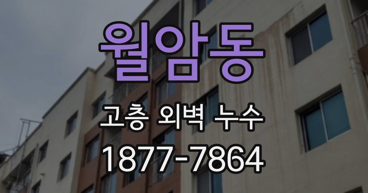 월암동 고층 외벽 누수