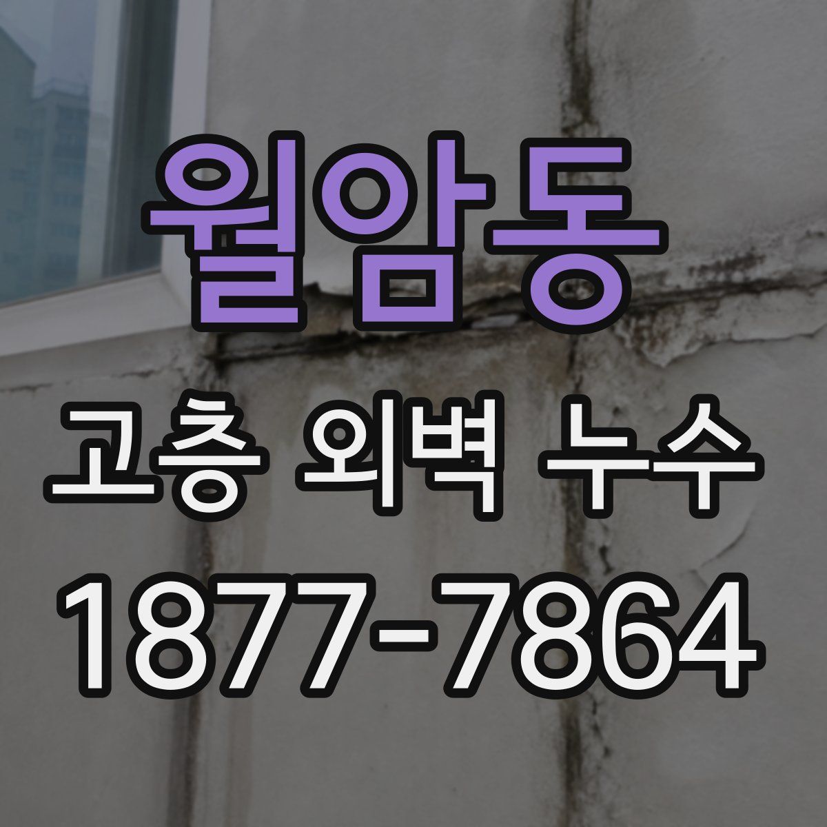 월암동 고층 외벽 누수