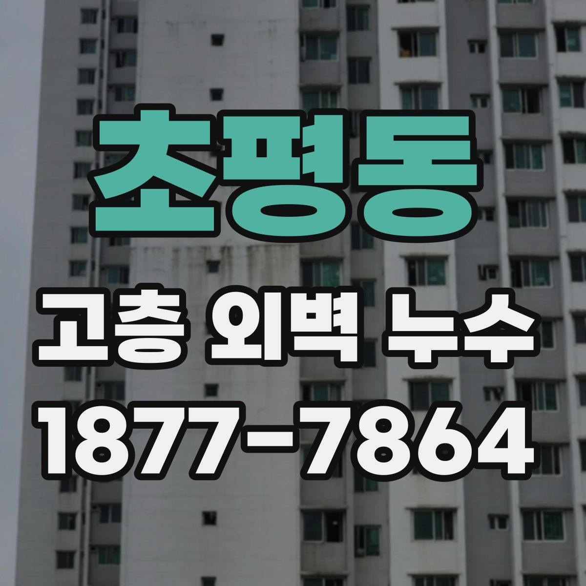 초평동 고층 외벽 누수