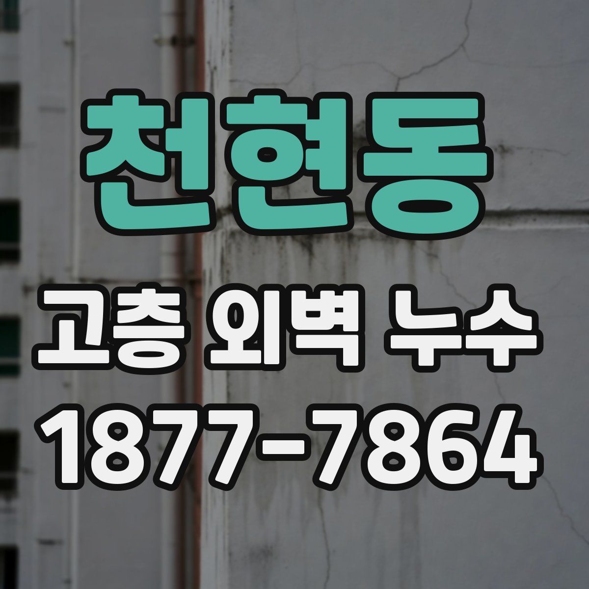 천현동 고층 외벽 누수