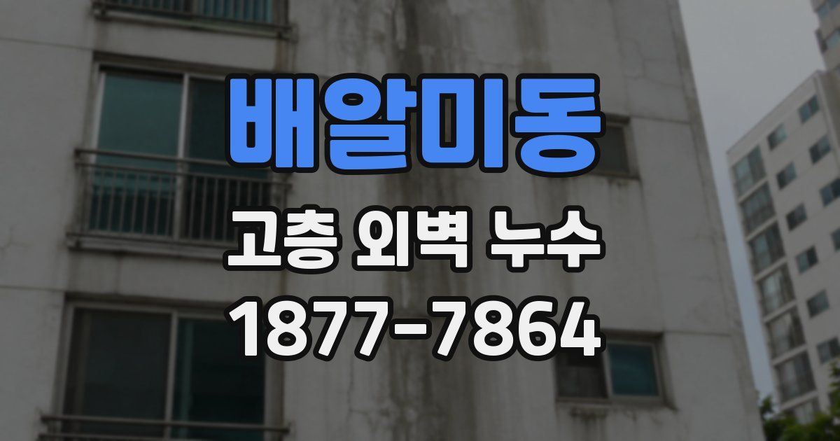 배알미동 고층 외벽 누수