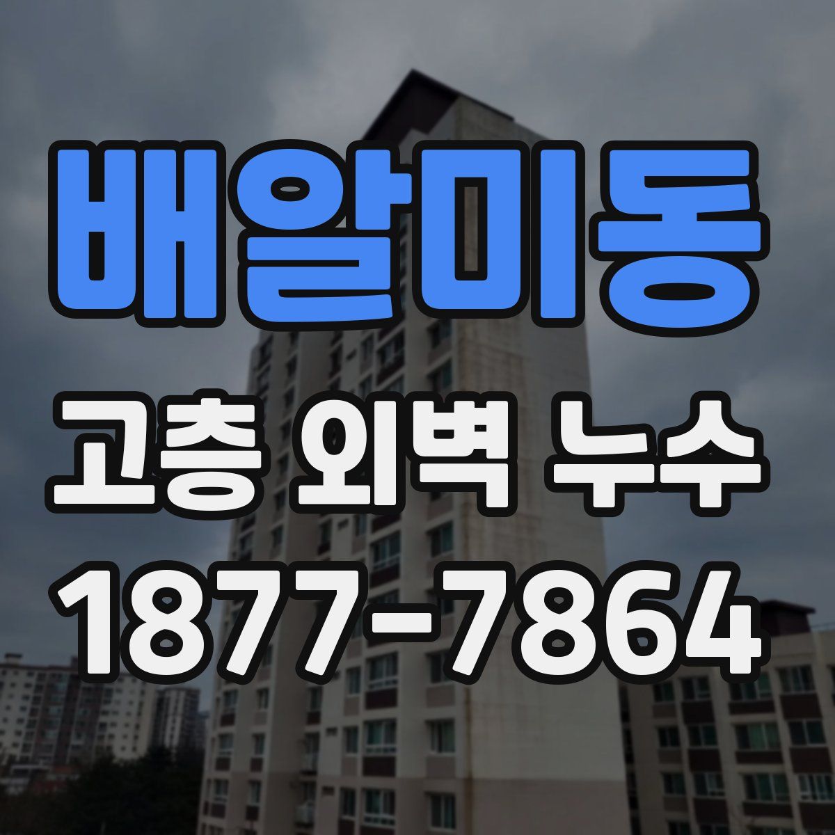 배알미동 고층 외벽 누수