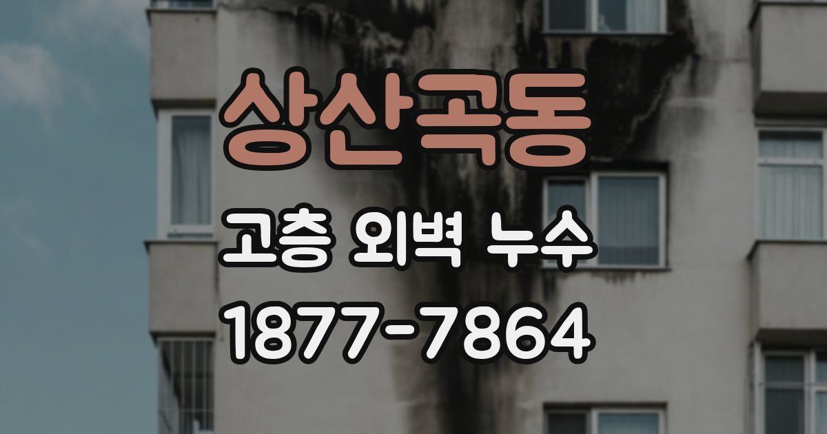 상산곡동 고층 외벽 누수
