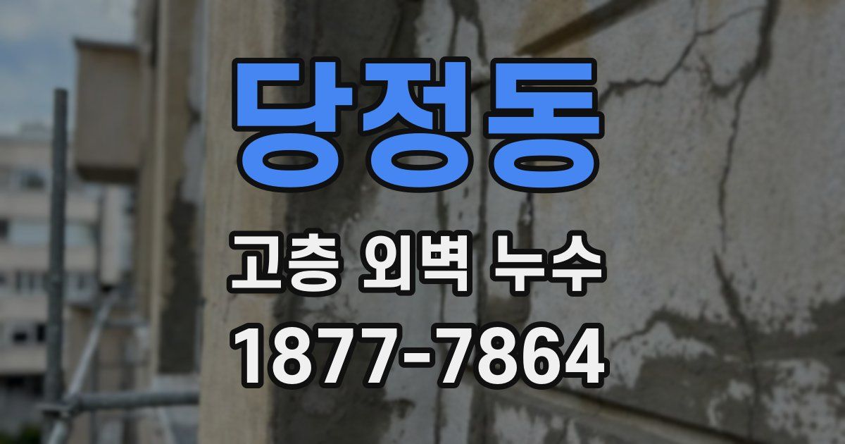 당정동 고층 외벽 누수