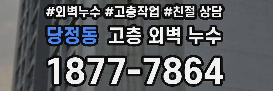 당정동 고층 외벽 누수