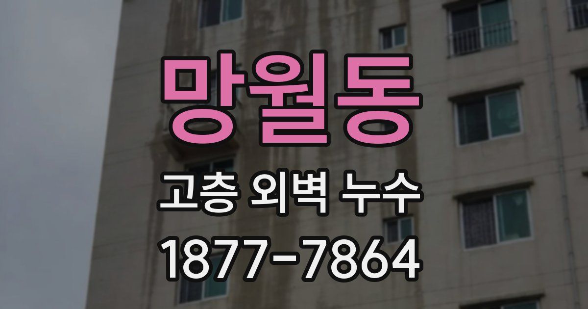망월동 고층 외벽 누수