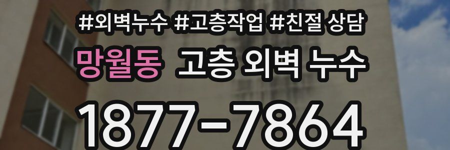 망월동 고층 외벽 누수