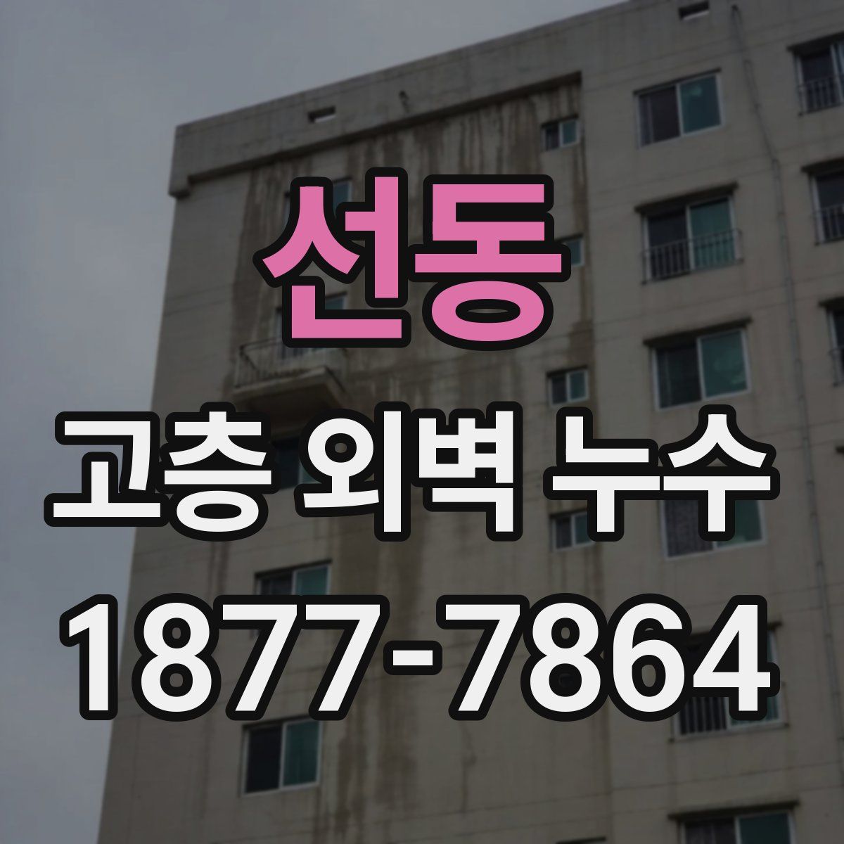 선동 고층 외벽 누수