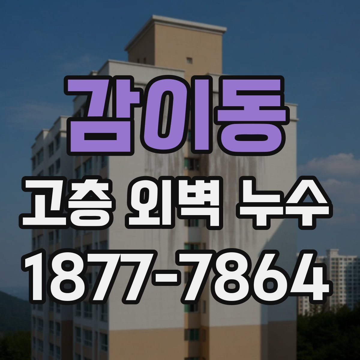 감이동 고층 외벽 누수