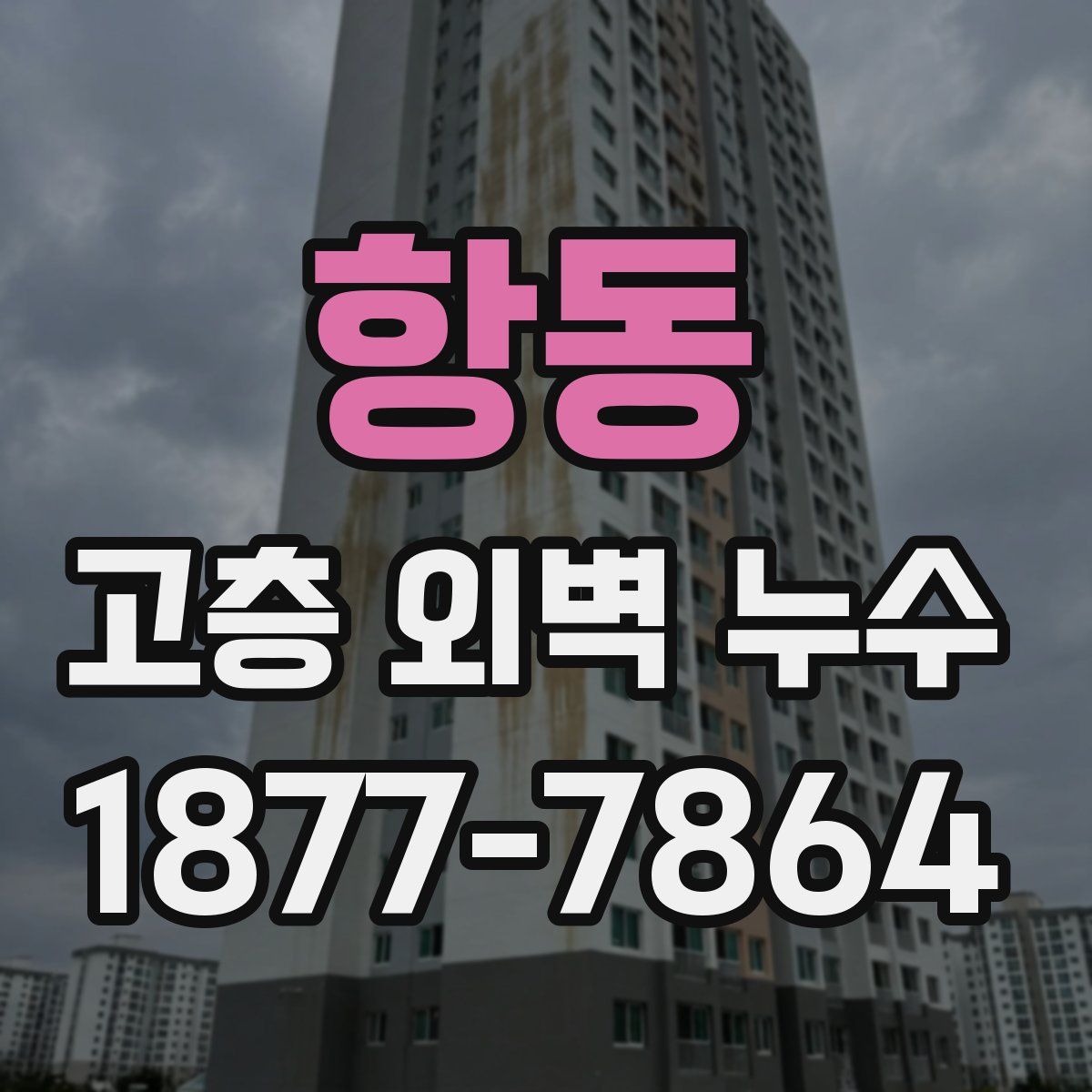 항동 고층 외벽 누수