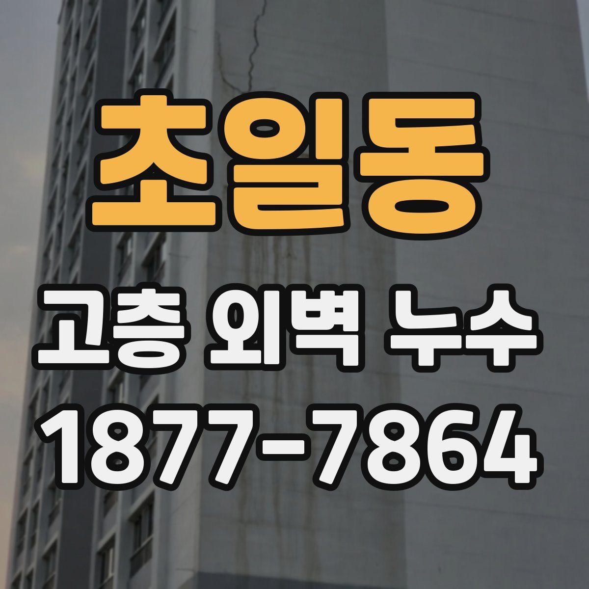 초일동 고층 외벽 누수