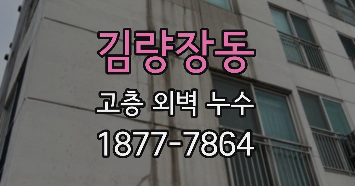 김량장동 고층 외벽 누수