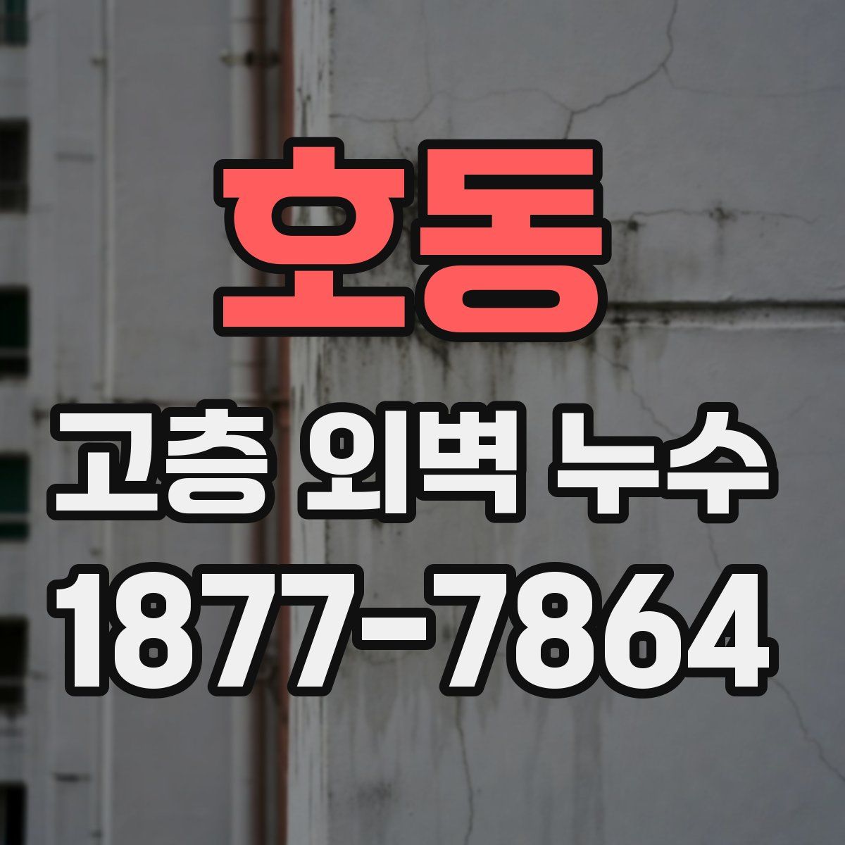 호동 고층 외벽 누수