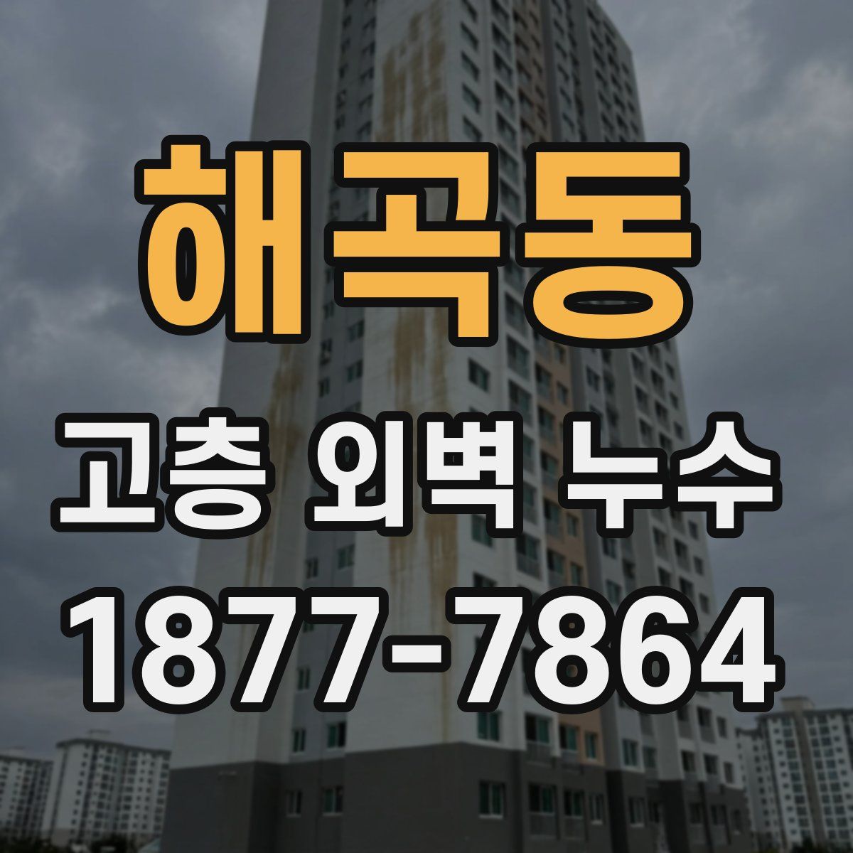 해곡동 고층 외벽 누수