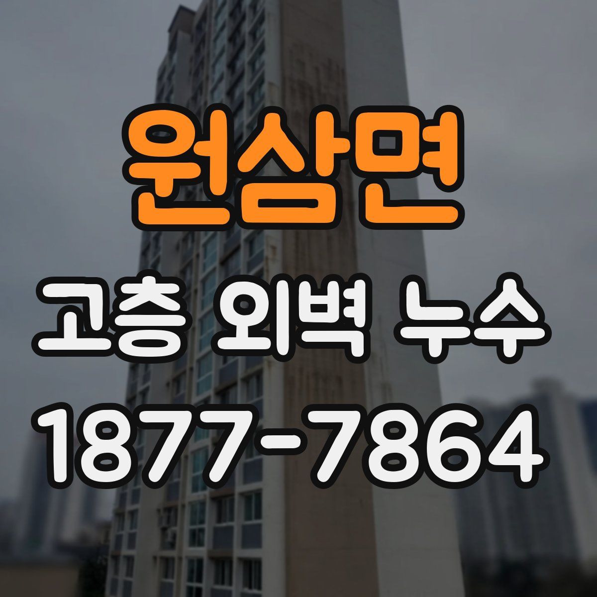 원삼면 고층 외벽 누수
