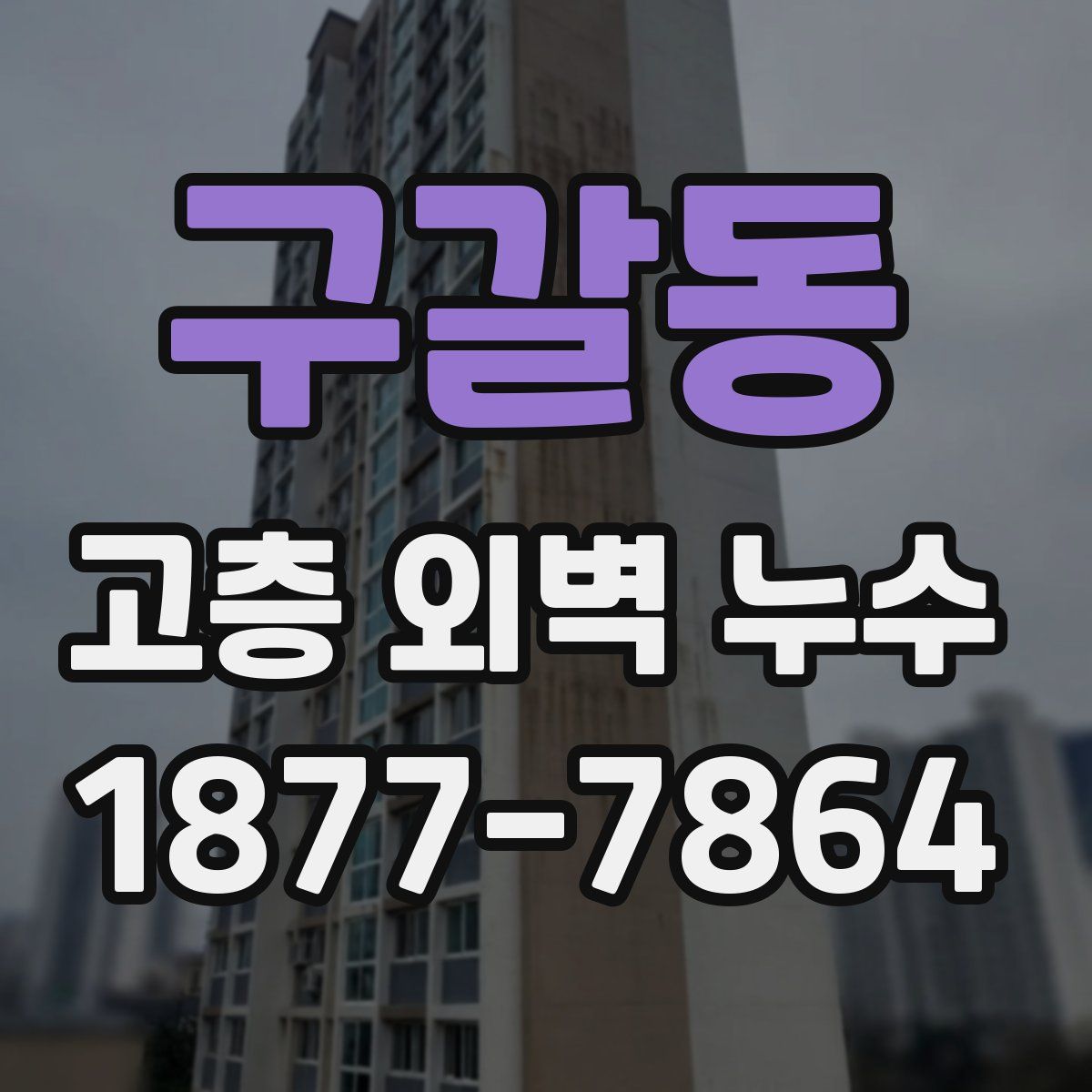 구갈동 고층 외벽 누수