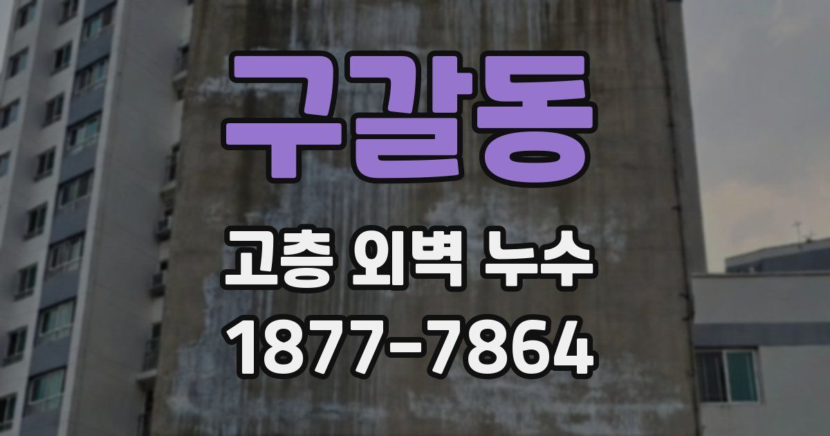 구갈동 고층 외벽 누수