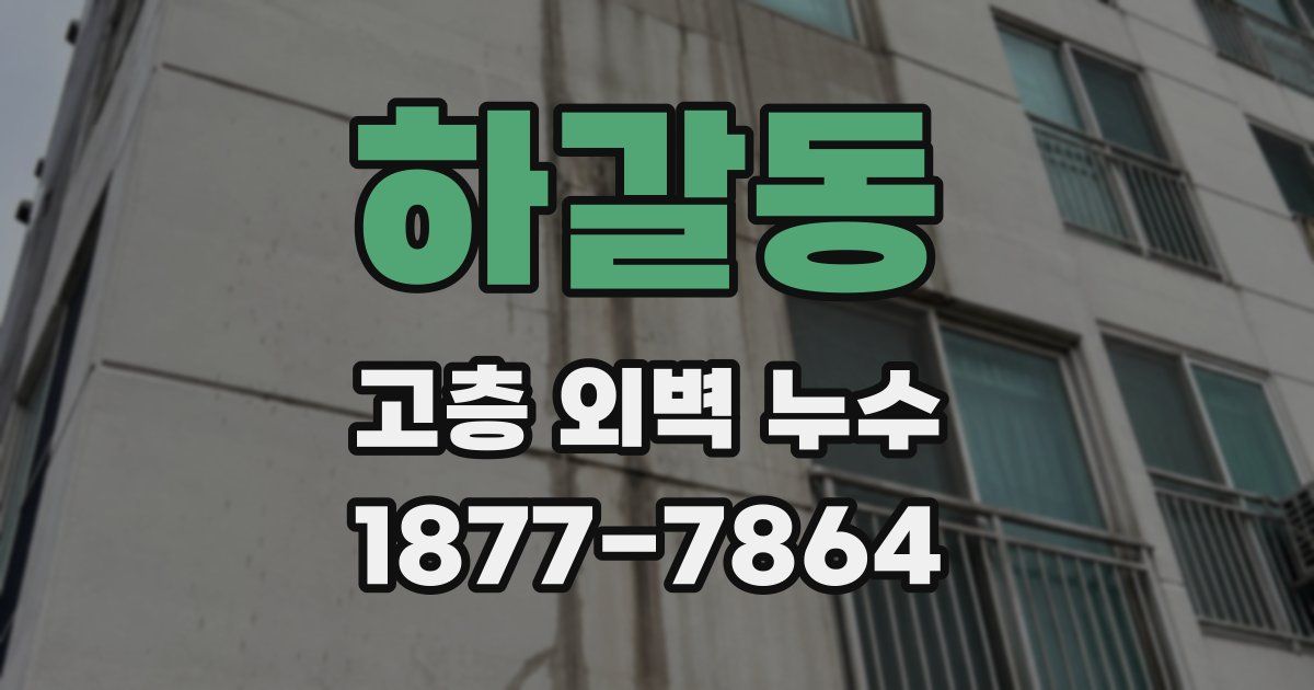하갈동 고층 외벽 누수