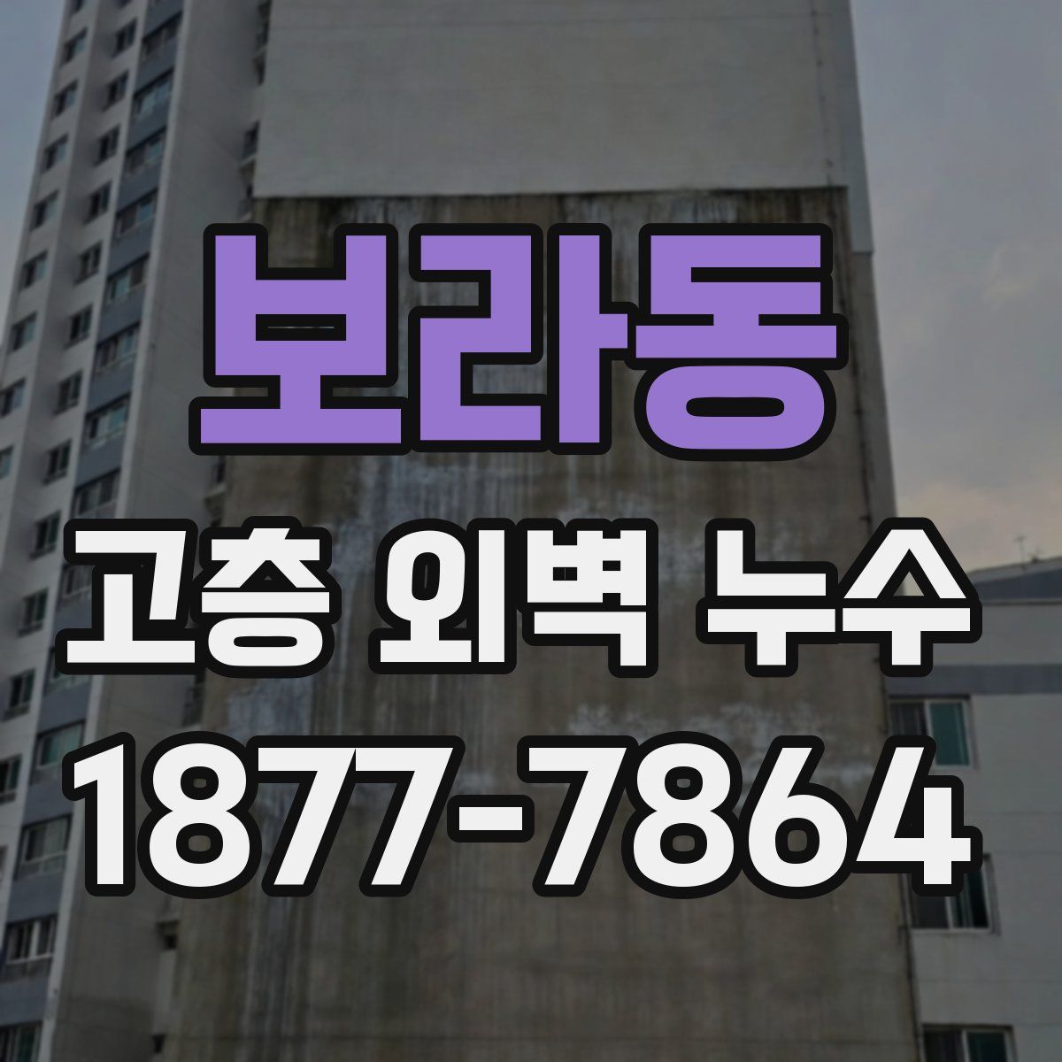 보라동 고층 외벽 누수