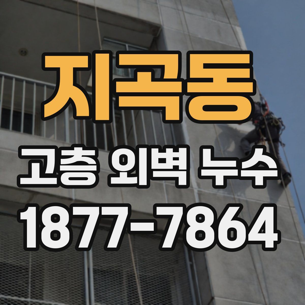 지곡동 고층 외벽 누수