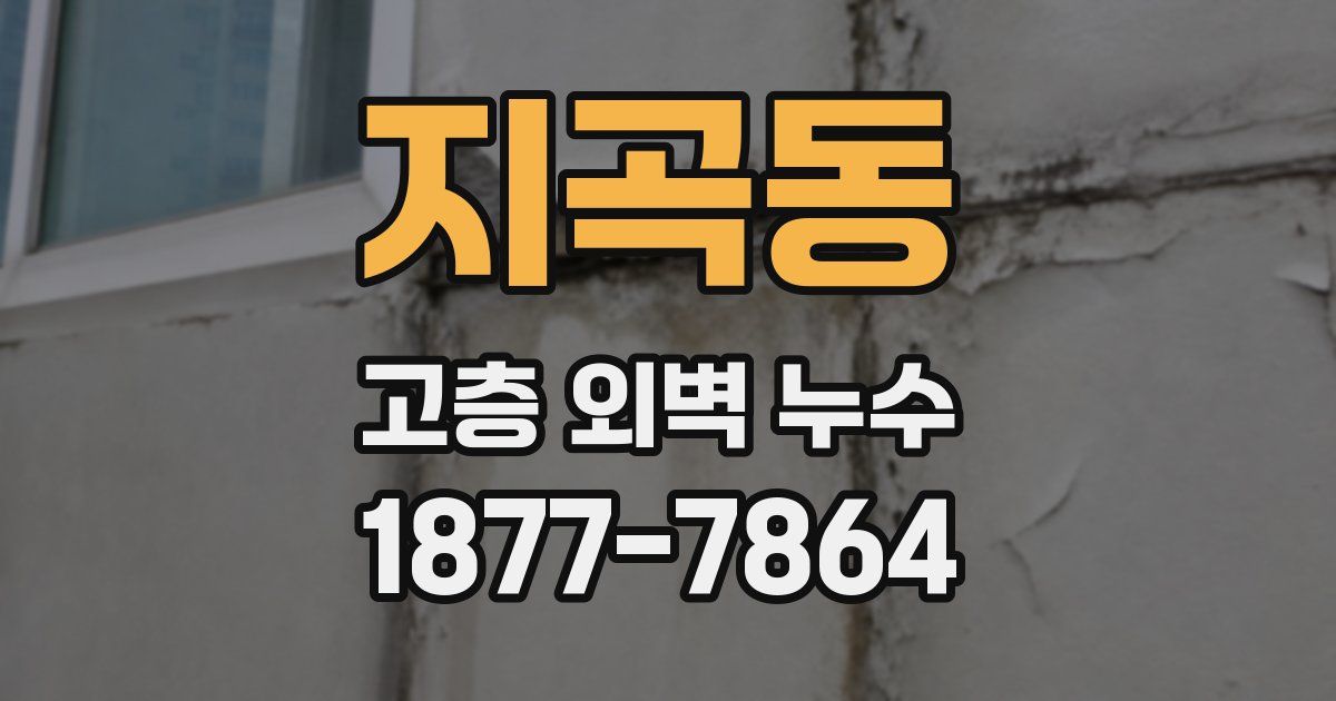 지곡동 고층 외벽 누수