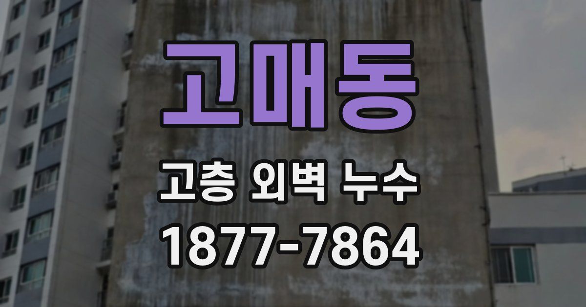 고매동 고층 외벽 누수