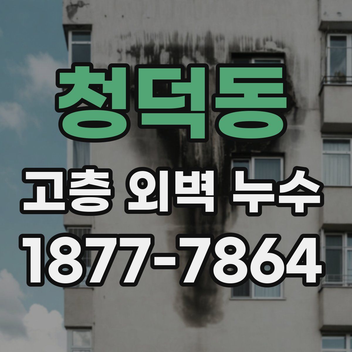 청덕동 고층 외벽 누수