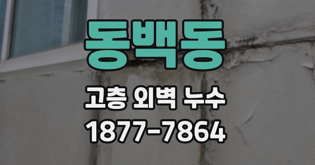 동백동 고층 외벽 누수