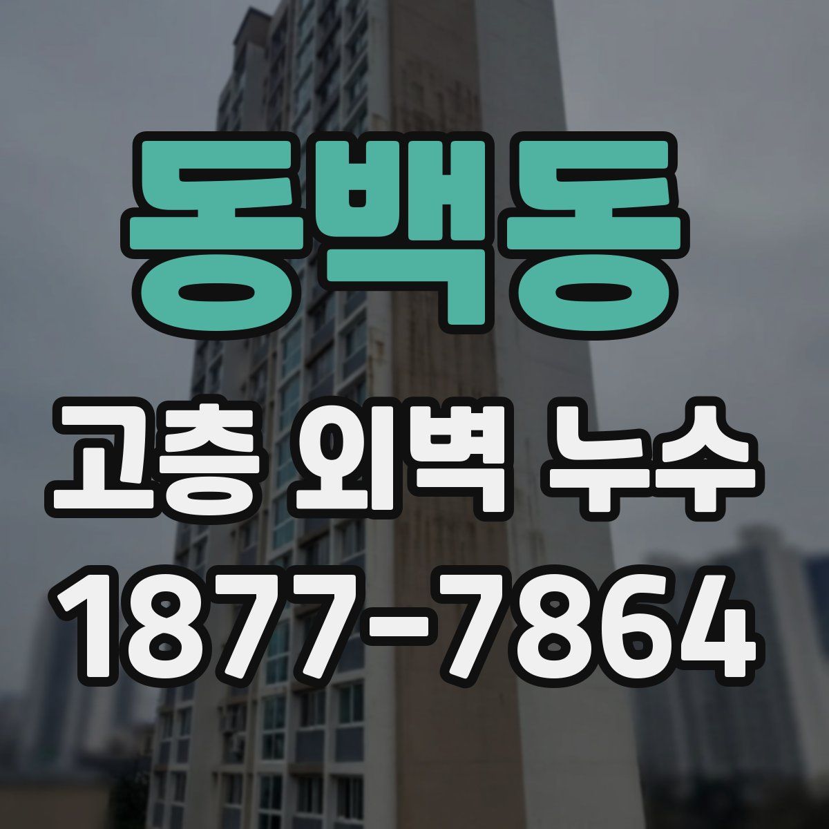 동백동 고층 외벽 누수
