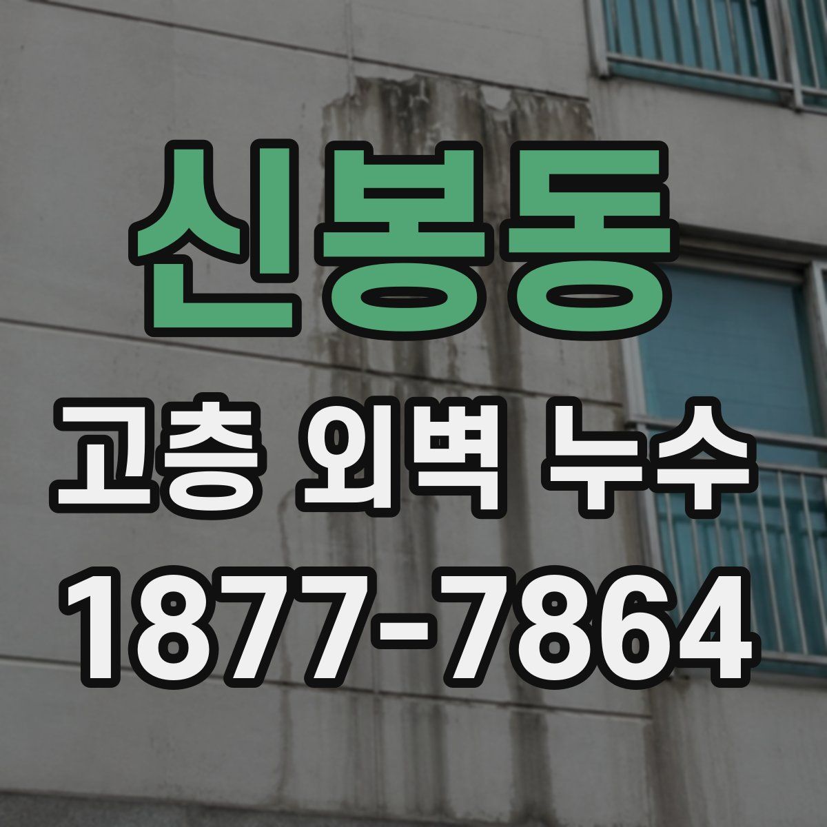 신봉동 고층 외벽 누수