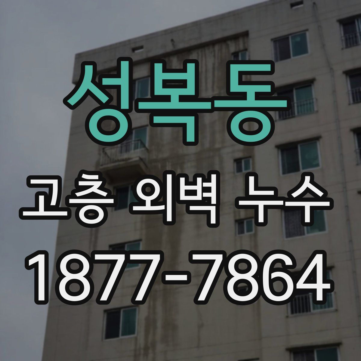 성복동 고층 외벽 누수