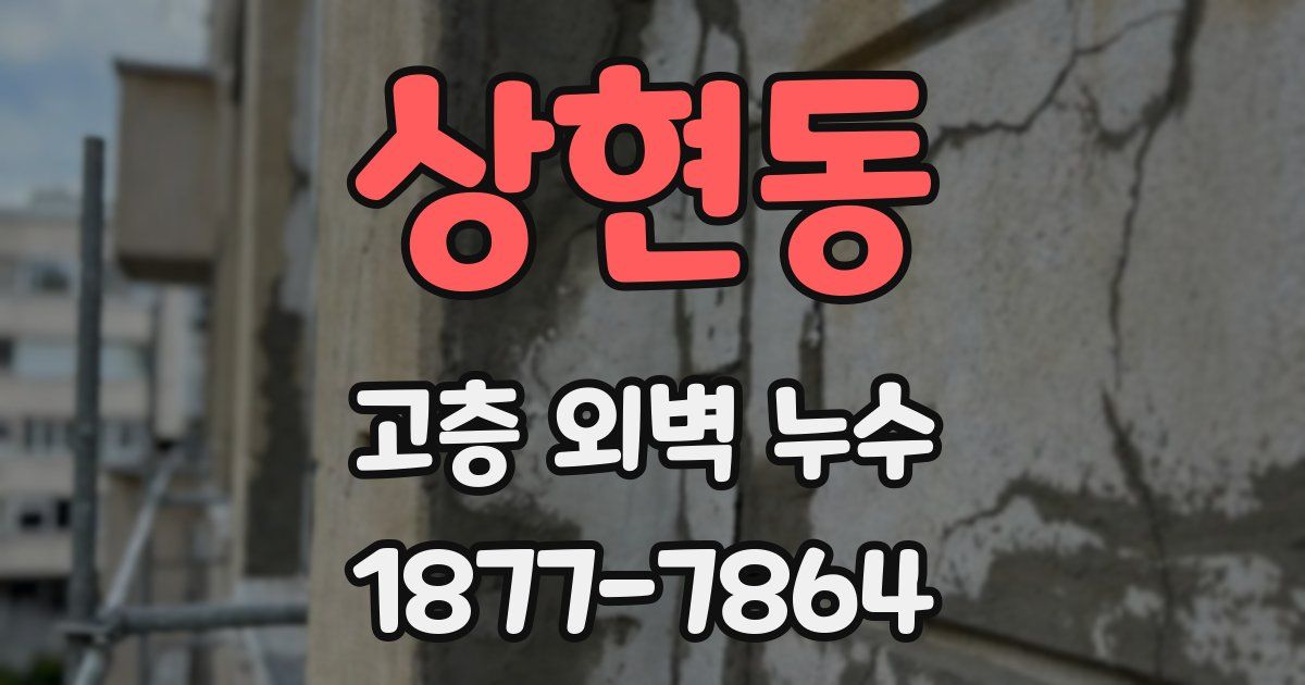 상현동 고층 외벽 누수