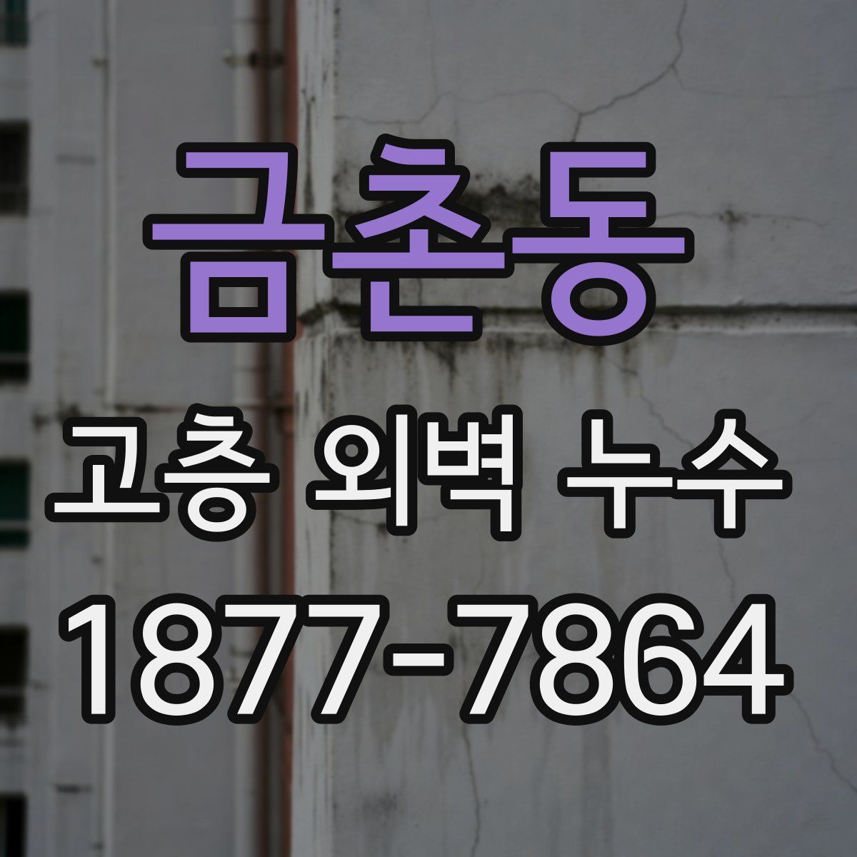 금촌동 고층 외벽 누수