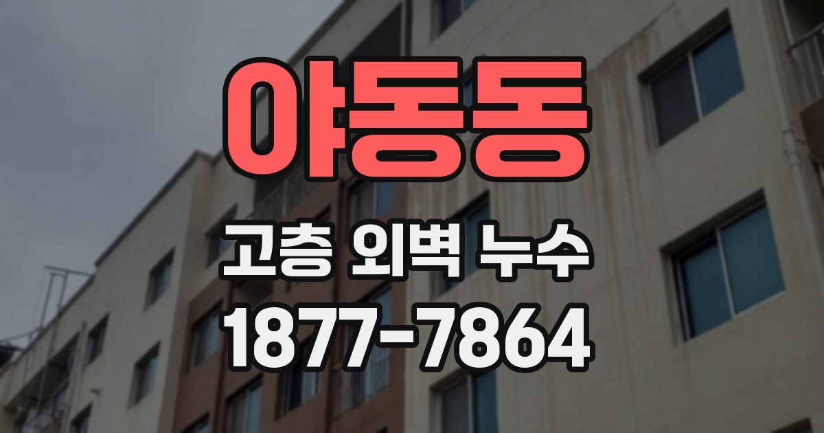 야동동 고층 외벽 누수