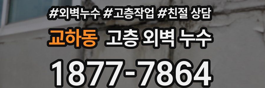 교하동 고층 외벽 누수
